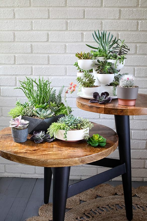 The HC Companies 8 Inch Round Plastic Succulent Capri Bowl Decorative Indoor Flower Succulent Planter Pot with Drain Plug Hole, Faux Concrete Color (2 Pack)