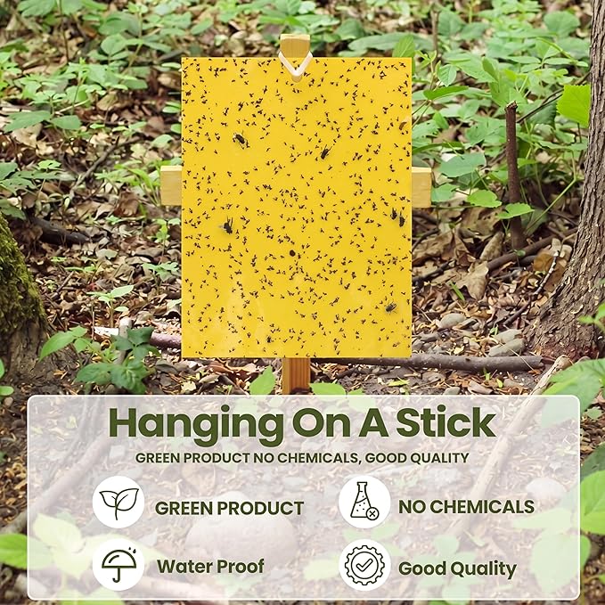 Qualirey 400 Pcs Yellow 6 x 8 Inch Sticky Traps for Gnats Dual Sided Fruit Fly Sticky Traps for Indoor and Outdoor Plant with Twist Ties and Plastic Holders for Fungus Gnats, Bug, Flying Insect