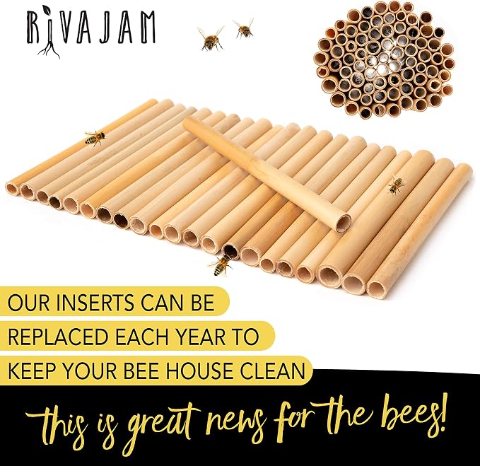 Rivajam 125 Phragmite Reed Mason Bee Tubes | Refill for Bee House, Hotel Nest Box, Solitary Hive & Pollinator Box | Garden Starter Kit & Supplies