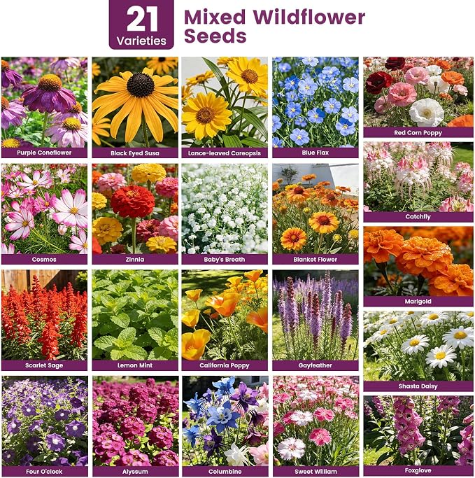 Wildflower Seeds Bulk 10000+, 1.06oz Butterfly Hummingbird Mix, 21 Variety Perennial Annual Mix, Heirloom Flower Seeds for Planting Outdoor Indoor, High Germination Rate Garden Seeds