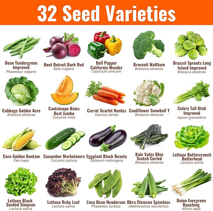 Open Seed Vault |15,000 Heirloom Seeds | 32 Seed Types | Survival Seeds | 2026 Season | Non GMO Vegetable and Fruit Seeds | Planting Outdoor & Indoor Garden