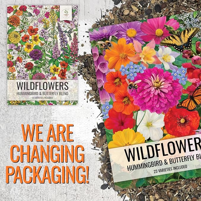Seed Needs Wildflower Seeds Butterfly and Hummingbird Seed Mix 2 Ounce No Filler | 23 Varieties Annual & Perennial Species Such as Butterfly Milkweed, Cosmos & Zinnia | Resealable Bulk Package