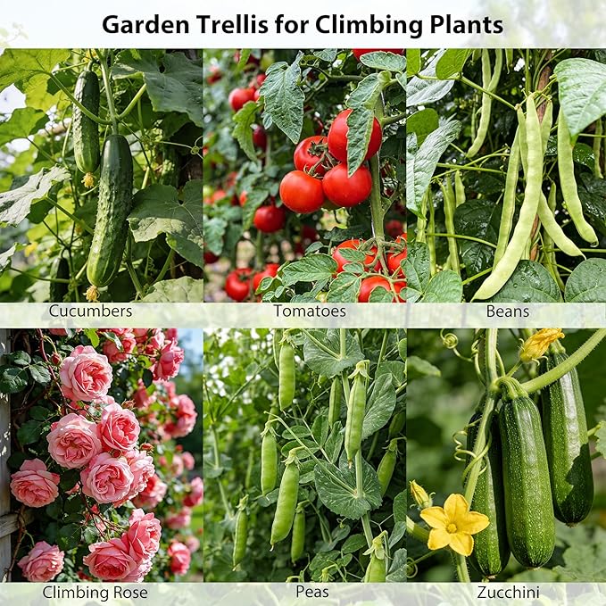 Miory Cucumber Trellis, 63" Tall U-Shape Trellis for Raised Bed, Garden Arch Trellis for Climbing Plants Outdoor, Plant Support for Vines, Steel with PE Coated (32" Lx32 Wx63 H)