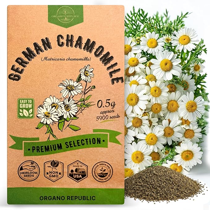 Organo Republic German Chamomile Seeds Pack 0.5 G - Over 5,900 Non-GMO Heirloom Chamomile Seeds for Planting Herbs in Individual Seed Packet, Herbs Seeds for Planting Home Indoor & Outdoor Gardening