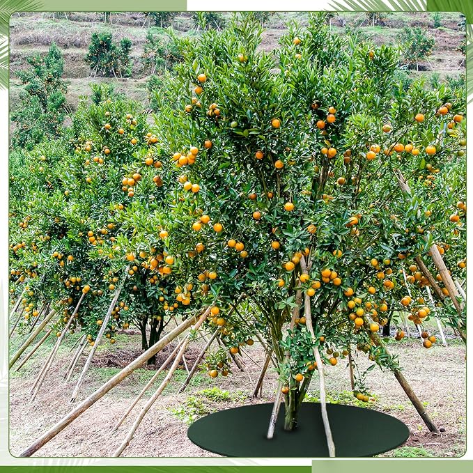 Shimeyao 8 Pack 32.2 Inch Non Woven Tree Mulch Ring Thickened Tree Mat Protector Reusable Trees Weed Mat Round Fabric Trees Root Barrier or Landscape Weed Barrier Plant Root Protection(Green)