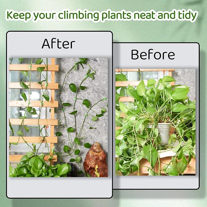 30/60/100PCS Plant Climbing Wall Fixture Clips,Invisible Wall Plant Vines Fixing Clips,Self-Adhesive Vine Support Holder for Climbing Plants. (60, Green V-Shaped)
