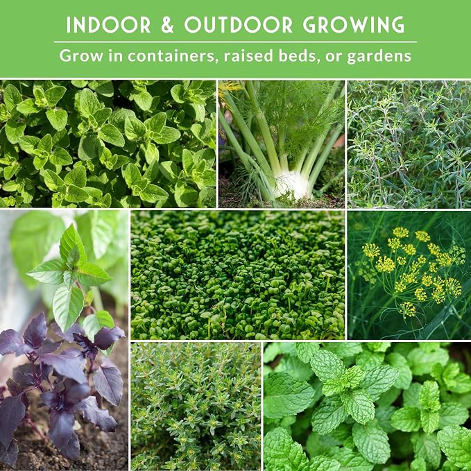 Culinary Herb Seeds Variety Pack for Planting - Grow 18 Heirloom Kitchen Herbs with Basil, Cilantro, Parsley, Dill, Chives, Oregano, Sage, Rosemary, Mint - Indoor or Outdoor - Survival Garden Seeds