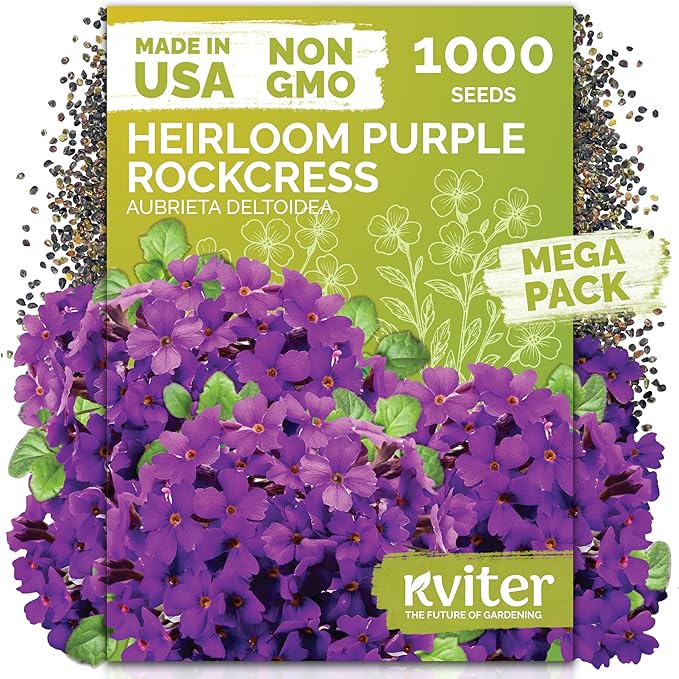 KVITER 1,000 Purple Rock Cress Seeds Perennial (Aubrieta deltoidea) - Aubrieta Seed, Lilacbush, Non-GMO & Ground Cover Seed - Ideal Flower Seeds for Planting in Beds, Rock Garden & Walls