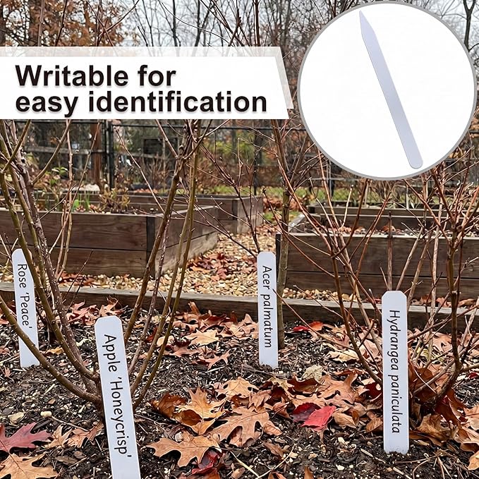 Weysat 100 Pcs 12" Wood Plant Labels for Field or Containers Plant Tags Wood Garden Labels for Seedling Stakes Markers Nursery Seed Tags with Smooth Surface for Pot Herbs Flowers Vegetables