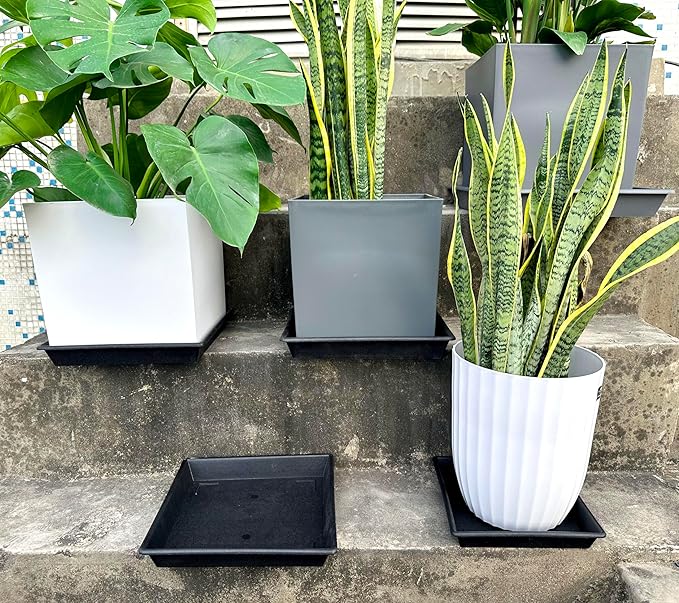 NIMYAU Square Plant Saucer 12 Inch 5 Pack 8 10 12 14 16 18 20 Inch, Plant Trays for Pots Heavy Duty Plastic Plant Saucers for Indoors Outdoors, Flower Pot No Holes Plant Drip Trays