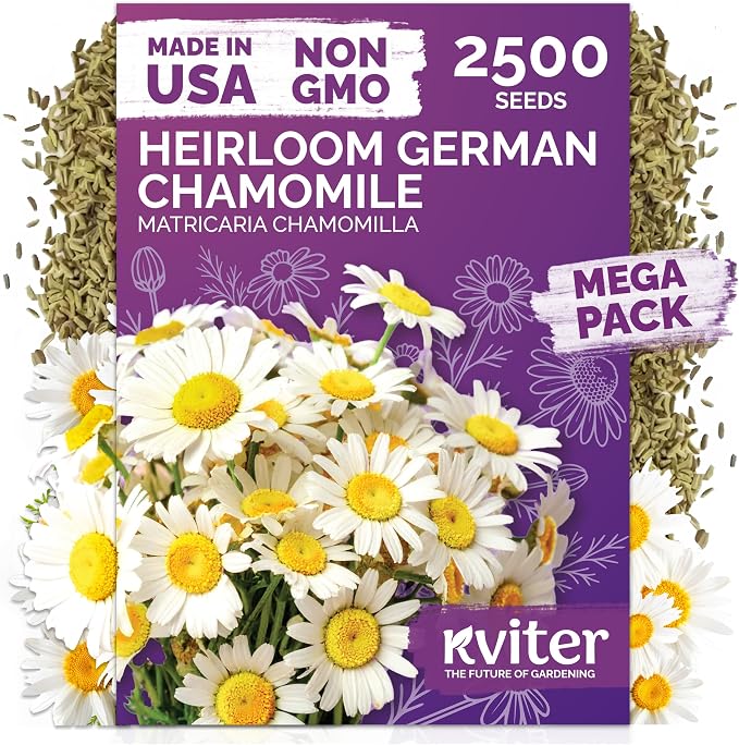 KVITER 2,500 German Chamomile Seeds for Planting (Matricaria Chamomilla/Recutita) – Heirloom & Non-GMO Medicinal Herb Seeds, Flowers for Remedies & Chamomile Tea – Indoors/Outdoors Herb Garden