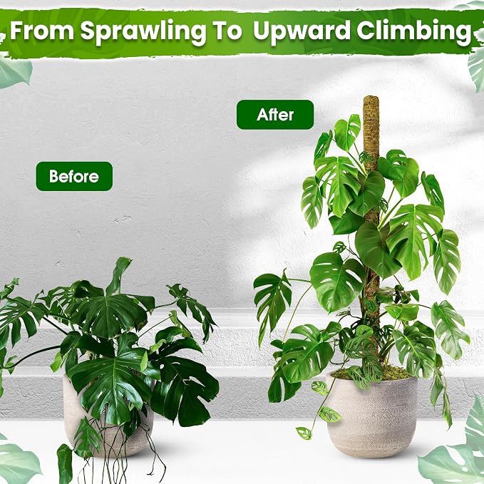 DUSPRO 59 Inches Non-Bendable Pole for Big Climbing Plants, Large Moss Pole for Monstera, Indoor Plant Stakes, Support (1pc., 59'')