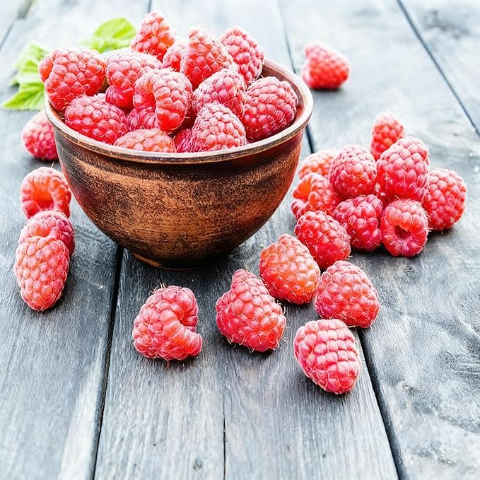 1500+ Fruit Tree Seeds Mixed for Planting, 6 Varieties, 400 Strawberry 200 Blueberry 300 Raspberry 300 Mulberry 200 Cranberry 20 Cherry, Non-GMO Heirloom Seed for Garden Outdoor
