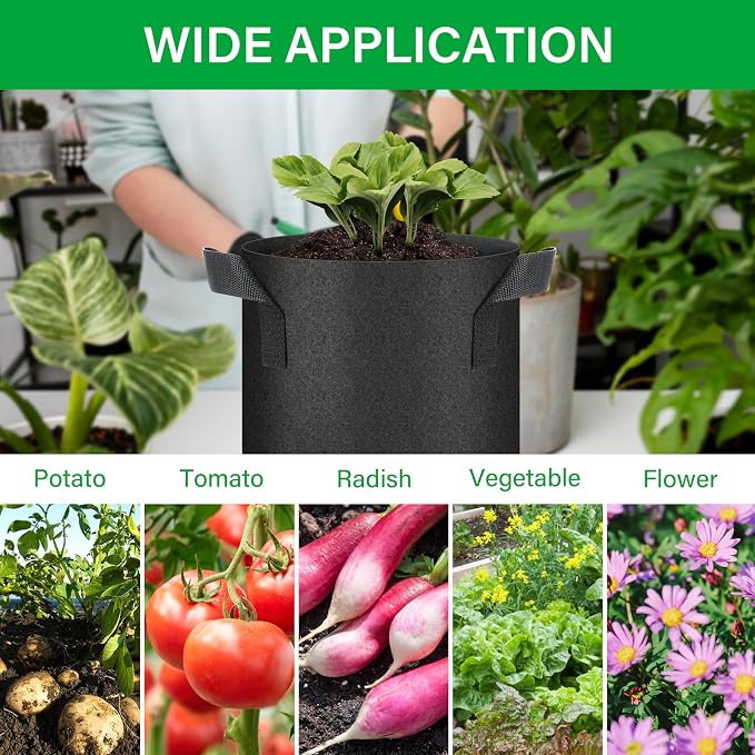 YSSOA 10-Pack 2 Gallon Grow Bags, Aeration Nonwoven Fabric Plant Pots with Handles, Heavy Duty Gardening Planter for Potato, Tomato, Vegetable and Fruits, Black 2024 Version