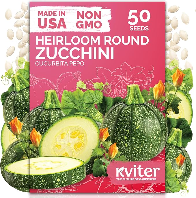 KVITER 50 Round Zucchini Seeds (Cucurbita Pepo) – Courgette Round Zucchini Squash Seed Packets, Non GMO Seed - Vegetables Seeds for Outdoor & Indoor Vegetable Garden and Containers