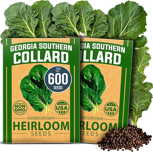 HOME GROWN Georgia Southern Collard Green Seeds 600+ Heirloom Non-GMO Seeds for Planting, High Germination, Heat Tolerant Leafy Green, Slow to Bolt, Nutritious Southern Classic (Brassica oleracea)