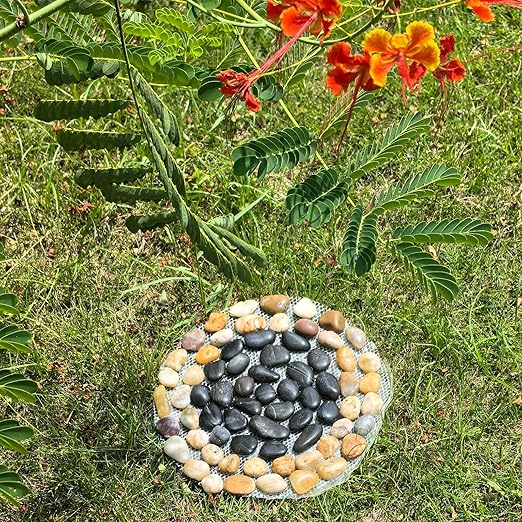 Garden Stepping Stone Outdoor Decorative Round Stepping Stones with Black Stones Round Polished River Pebble Stone from Natural River, for Garden Patio Walkway(10in 6Pcs Pack)