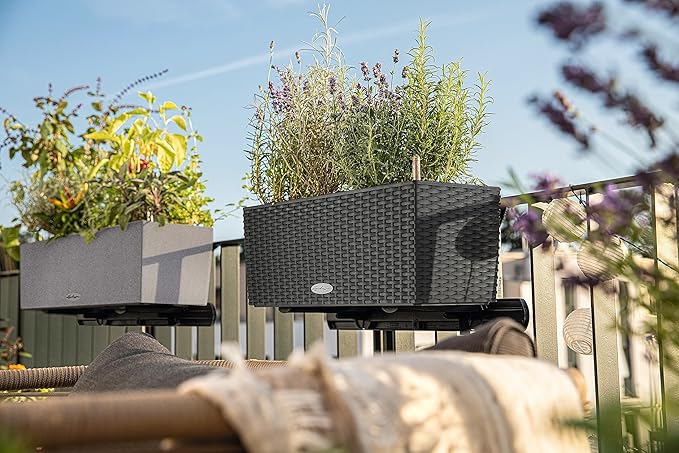 Lechuza Balconera Cottage 50 - All-In-One, Granite