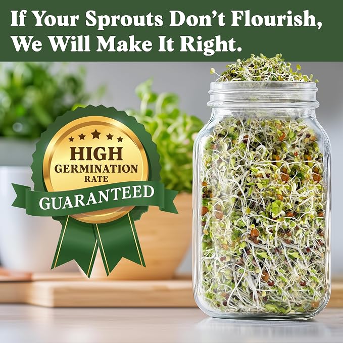 Seedboy Organic Non-GMO Sprouting Seeds, Superfood Blend - USA Grown Microgreens Mix with Broccoli, Radish, Pak Choi, Clover, Red Kale - 8 oz Makes 8 Quarts / 32 Servings (Superfood Blend)