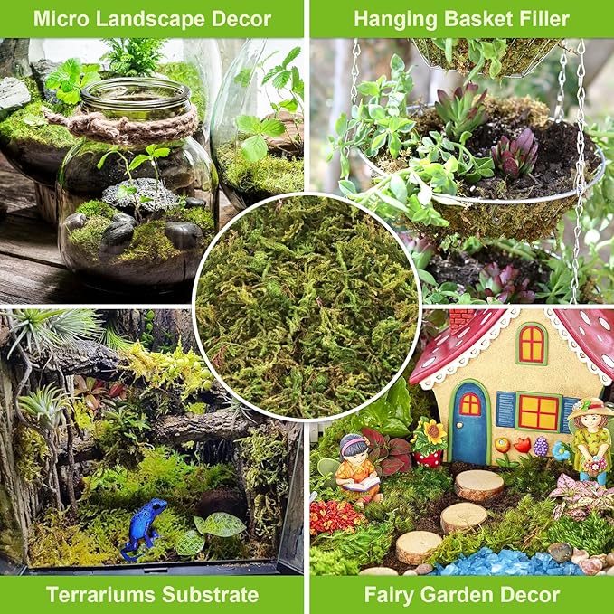 Legigo 1.3LBS Sphagnum Moss for Plants, 25QT Natural Orchid Moss Potting Mix Dried, Green Forest Plant Moss for Orchid Repotting Carnivorous Succulents Indoor Potted Plants Gardening and Reptiles