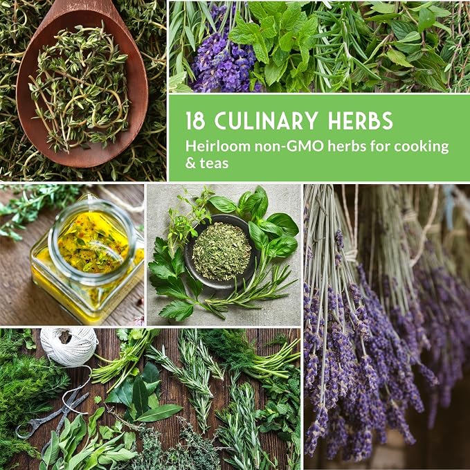 Culinary Herb Seeds Variety Pack for Planting - Grow 18 Heirloom Kitchen Herbs with Basil, Cilantro, Parsley, Dill, Chives, Oregano, Sage, Rosemary, Mint - Indoor or Outdoor - Survival Garden Seeds