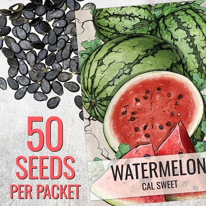 Seed Needs Watermelon Seeds for Planting Cal Sweet Watermelons - Non-GMO Heirloom & Untreated - Grow an Outdoor Home Grown Garden Filled with Sweet Fruits (1 Pack)