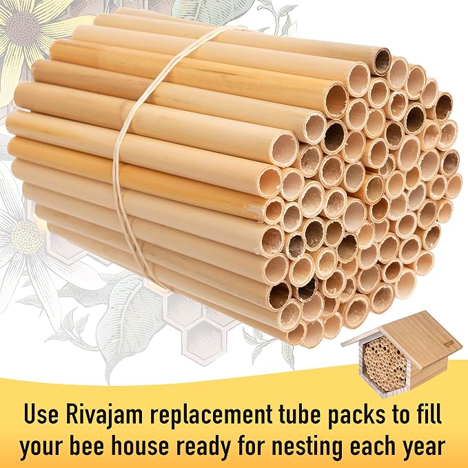 Rivajam 125 Phragmite Reed Mason Bee Tubes | Refill for Bee House, Hotel Nest Box, Solitary Hive & Pollinator Box | Garden Starter Kit & Supplies