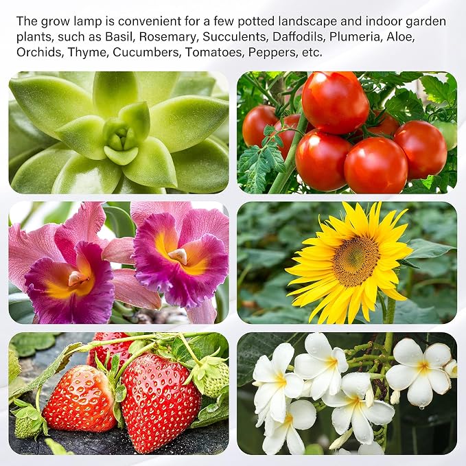 iPower 2Pack 40W LED Grow Lights with Full Spectrum Plant Growing Light Strips for Indoor Plant with Auto ON/Off 3/9/12H Timer, 10 Dimmable Levels 48 LEDs Per Tude, 3 Tubes, Red&Blue