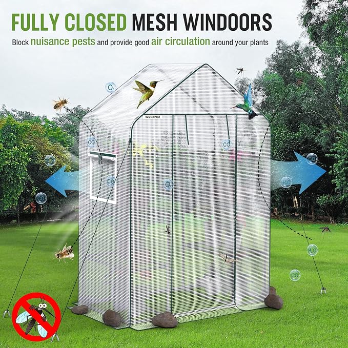 WORKPRO Greenhouse, 56"X 28" X 77" Portable Small Greenhouses for Outdoors & Indoors, Sturdy Green House Kit with Thicken PE Cover, Windows, 3 Tier 4 Shelves for Patio, Backyard, Balcony