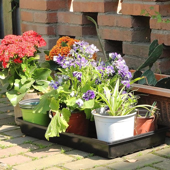 Gardzen 10 Pack Seed Trays, Reusable Plant Grow Trays, Ideal for Seed Starting, Microgreens, Indoor Gardening, and Greenhouse Nurseries - No Drain Holes, 20"x10"