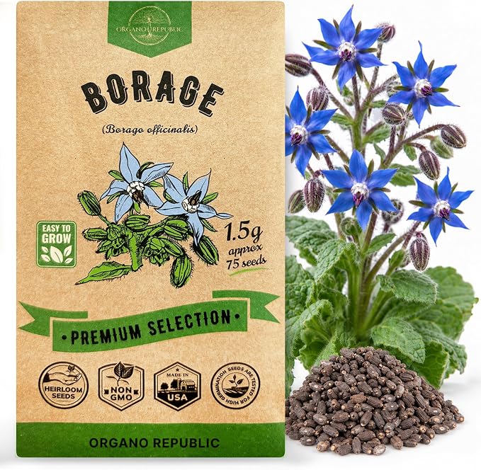Borage Seeds Pack 1.50 G - Over 75 Non-GMO Heirloom Borage Seeds for Planting Herbs in Individual Seed Packet, Herbs Seeds for Planting Home Garden Indoor & Outdoor Gardening