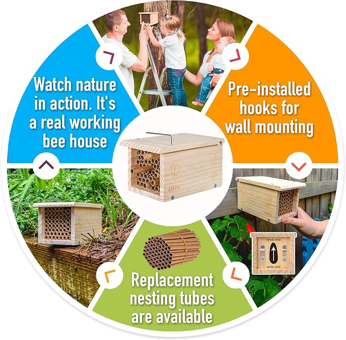 Rivajam Build a Bee House DIY Woodworking Project | Solitary Mason Bee House Nesting Box Wood Building Kit & Tools | Garden Arts & Crafts Activities for Toddler Boys & Girls Kids Teens Adults & Family
