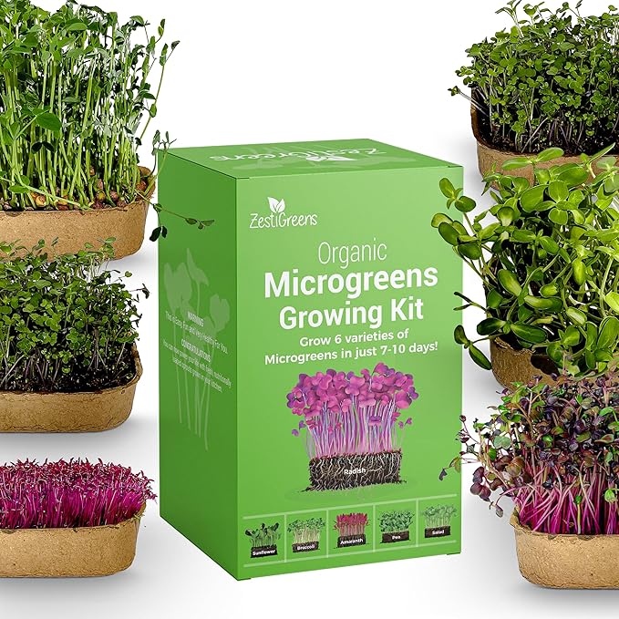 ZESTIGREENS Microgreens Growing Kit, 6-Grow Variety Pack with Most Popular & Colorful Microgreens Varieties