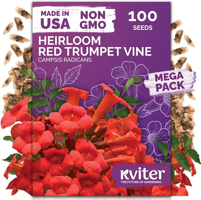 KVITER 100 Red Trumpet Vine Seeds for Planting (Campsis Radicans) – Trumpet Creeper & Heirloom Hummingbird Vine – Perennial Flower Seeds to Plant Outside – Fences, Trellises & Outdoor Garden