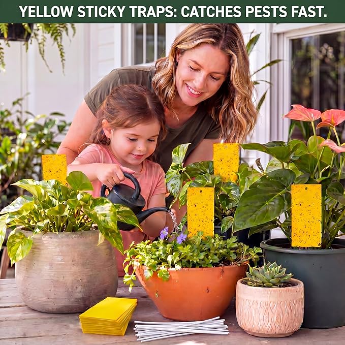 Qualirey 2.7 x 3.9 Inch Small Yellow Sticky Traps for Plant Double Sided Sticky Trap for Gnats with Twist Ties Fly Traps for Fruit Insect Fungus Bugs Indoor Outdoor (200 Pcs)
