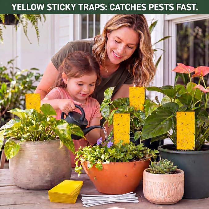 Qualirey 100 Pcs 11.8 x 7.8 Inch Extra Large Yellow Sticky Traps for Gnats Double Sided Sticky Trap for Plant Whiteflies, Aphids, and Black Flies with Twist Ties,Indoor and Outdoor