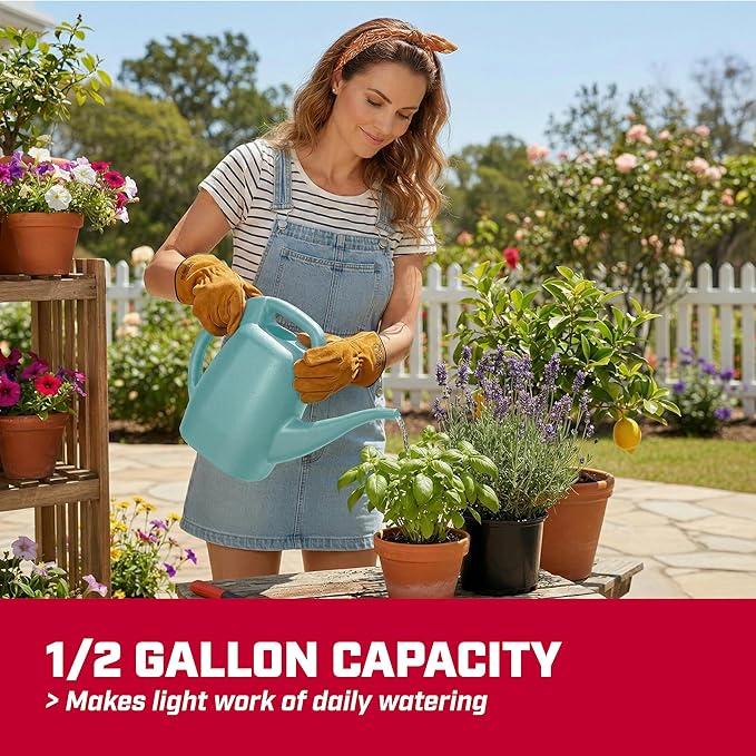 Chapin 48007 Watering Can, Garden, Indoor and Outdoor Plants, Recycled Plastic, Made in USA, 1/2 Gallon, Sky Blue