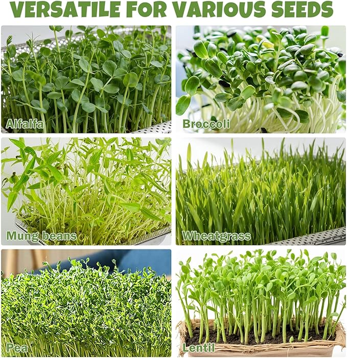 2 Pack Stainless Steel Seed Sprouter Trays, 2-Tier Soil-Free Microgreens Growing Kit, Rust-Free Sprouting Tray with Mesh Pads for Sprouts Beans Alfalfa Wheatgrass (10.6" x 7.9" x 1.9")