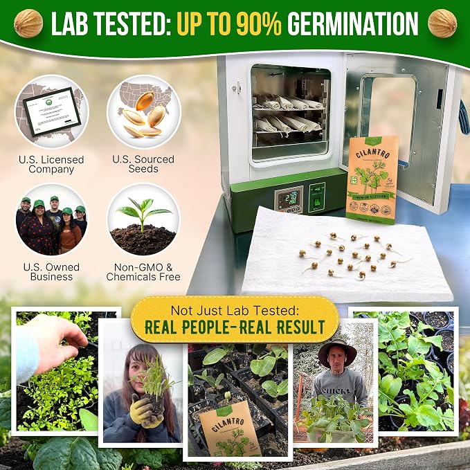 Cilantro Seeds Pack 5 G - Over 550 Non-GMO Heirloom Cilantro Seeds for Planting Herbs in Individual Seed Packet, Herb Seeds for Planting Home Garden Indoor & Outdoor Gardening