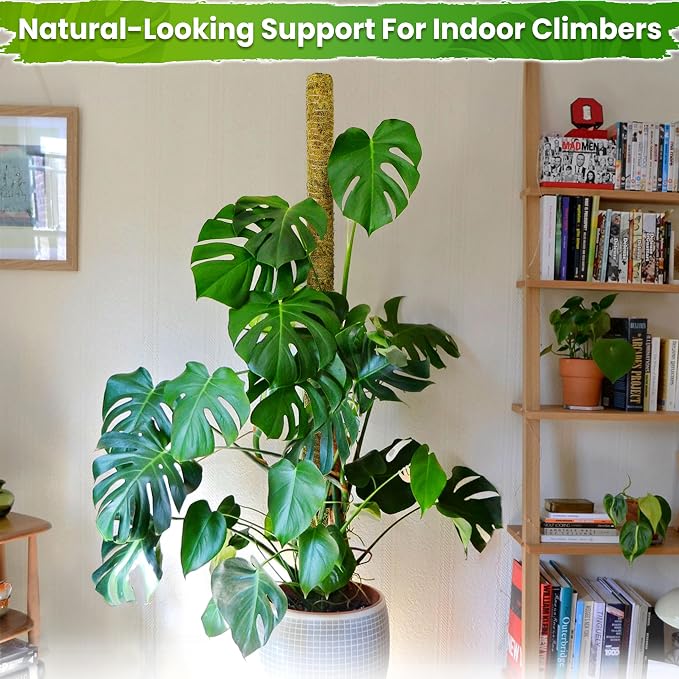 DUSPRO 59 Inches Non-Bendable Pole for Big Climbing Plants, Large Moss Pole for Monstera, Indoor Plant Stakes, Support (1pc., 59'')