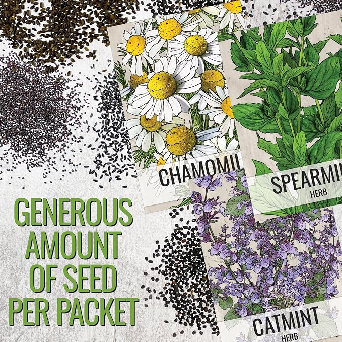 Seed Needs Herb Seeds for Planting a Collection of 6 Medicinal Herbs - Non-GMO Heirloom & Untreated Tea & Infusion Varieties (Chamomile, Lemon Balm, Spearmint, Anise Hyssop, Lemon Mint & Catmint)