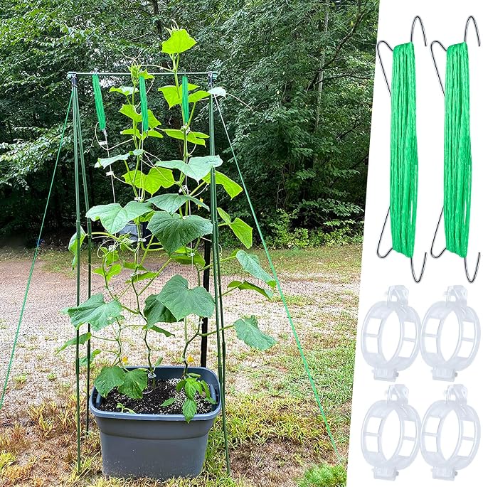 50Pcs Tomato Hooks with String, Support Hooks, Holder & Plant Support Clips with 33.3ft Twine to Prevent Pinching or Falling Off