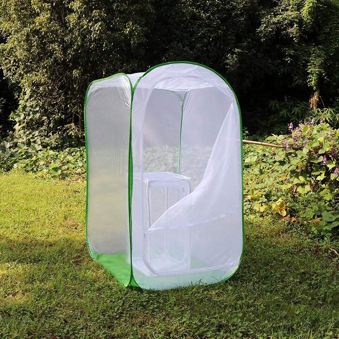 5 Feet Extra Large Monarch Butterfly Habitat, Giant Collapsible Insect Mesh Cage Terrarium Pop-up (White + Green, 35 x 35 x 59 Inches)