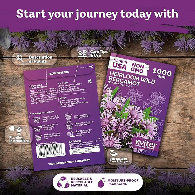 KVITER 1,000 Wild Bergamot Seeds for Planting (Monarda fistulosa) – Bee Balm Native Wildflower, Pollinator Magnet, Non GMO – Perennial Flower Seeds to Plant Outside in Flower/Herb Garden