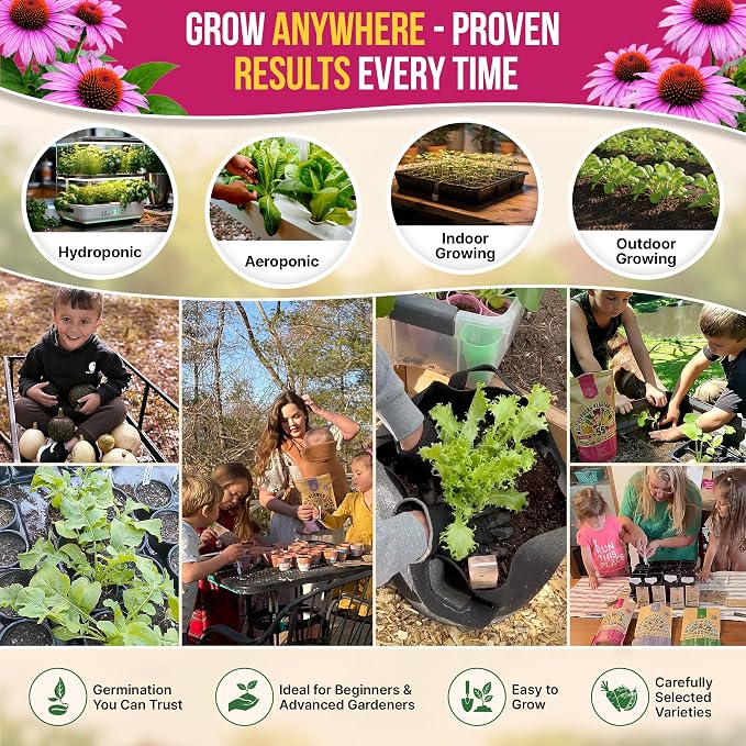 Organo Republic Echinacea Seeds Pack 5.5 G - Over 1000 Non-GMO Heirloom Echinacea Seeds for Planting Herbs in Individual Seed Packet, Herbs Seeds for Planting Home Garden Indoor & Outdoor Gardening