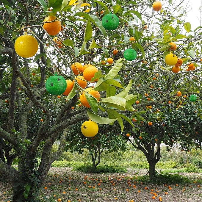 Qualirey 20 Pcs Sticky Fruit Fly Trap Ball Adhesive Fly Catching Ball Sticky Glue Fly Gnat Wasp Hornet Mosquito Bugs Flying Insects Trap Ball Traps (Green, Yellow)