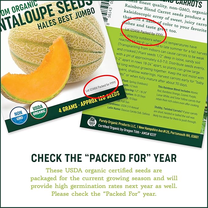 Organic Cucumber Seeds (Marketmore 76) - Approx 100 Seeds - USDA Organic, Non-GMO, Open Pollinated, Heirloom, USA Origin