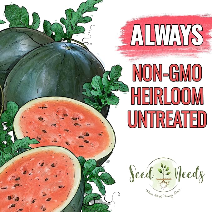 Seed Needs Watermelon Seeds for Planting Sugar Baby Watermelons - Non-GMO Heirloom & Untreated - Grow an Outdoor Home Grown Garden Filled with Sweet Fruits (1 Pack)