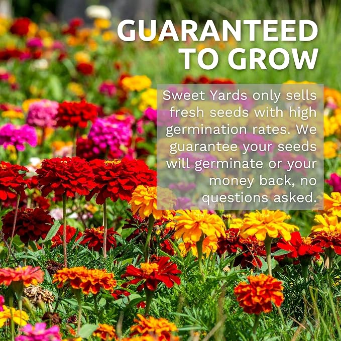 Wildflower Seeds Butterfly and Humming Bird Mix - Large 1 Ounce Packet 7,500+ Seeds - 23 Open Pollinated Annual and Perennial Species