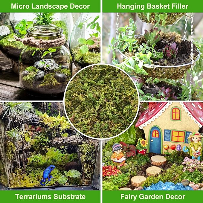 Legigo 3.5OZ Sphagnum Moss for Plants, 4QT Natural Orchid Moss Potting Mix Dried, Green Forest Plant Moss for Orchid Repotting Carnivorous Succulents Indoor Potted Plants Gardening and Reptiles